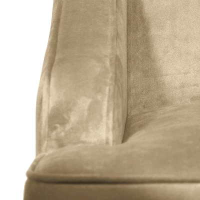 Velvet Swoop Armchair - HomePop - Image 5