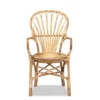 Sheraton Rattan Armchair Natural - Bali & Pari