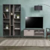 Bijan 2pc Mid-Century Entertainment Center Set Sonoma Gray Oak - Christopher Knight Home