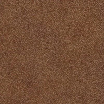 Elliot Leather Power Recliner Sofa Camel - Abbyson Living - Image 7