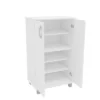 Michigan 2 Door Storage Cabinet White - Polifurniture