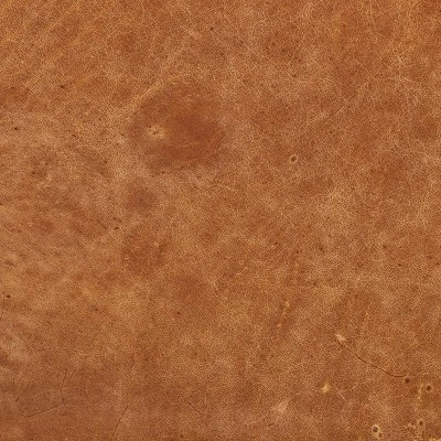 Petera Sofa - Poly & Bark - Image 11