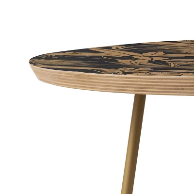 Marta Barragan Camarasa Tropical Night Heat Side Table Round Black/Gold - Deny Designs - Image 3