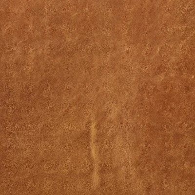 Petera Sofa - Poly & Bark - Image 12